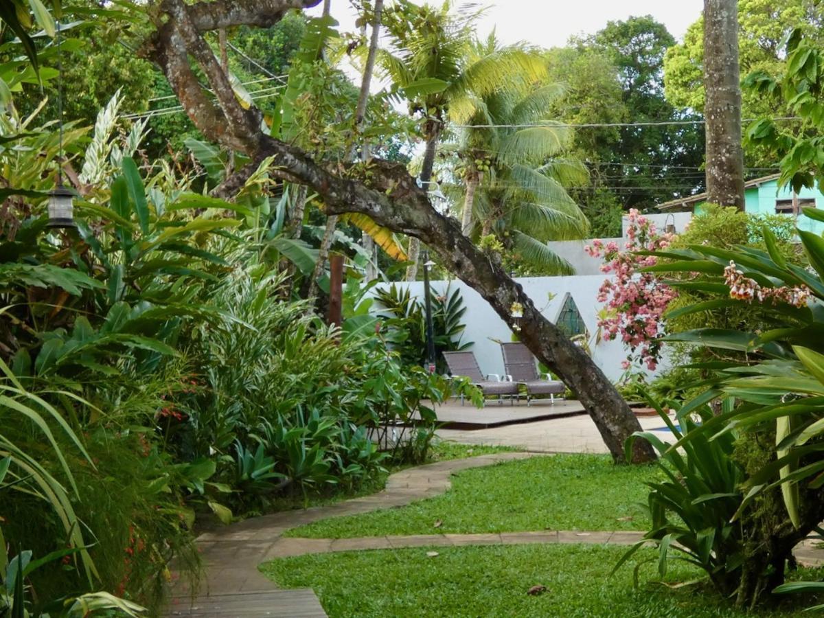 Hotel Pousada Coqueiro Verde Itacaré Exteriér fotografie